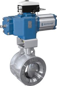 Ball segment valves